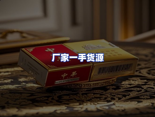 专业团队